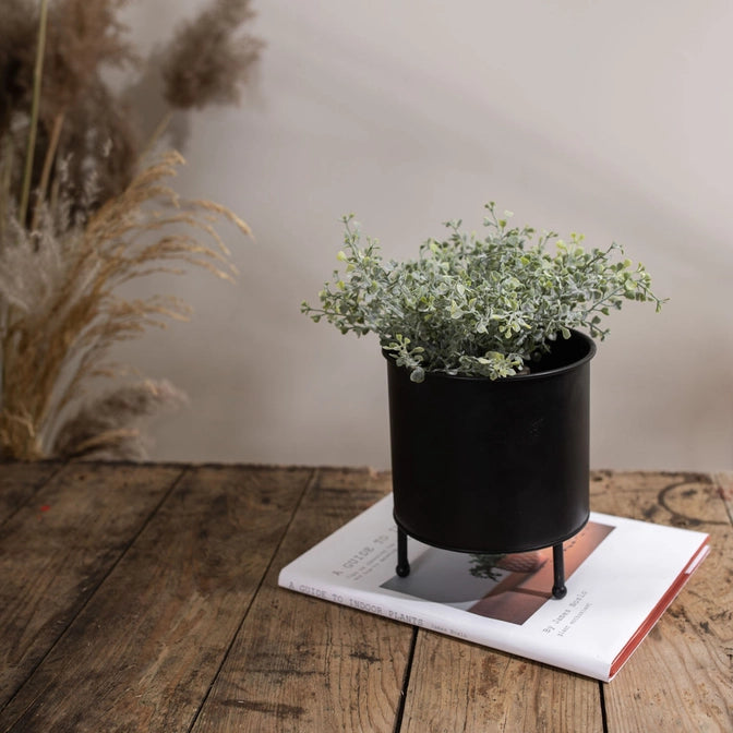 Black Atticus Planter