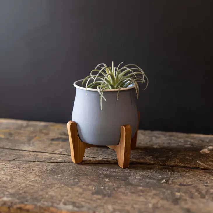 Blue Belle Footed Planter